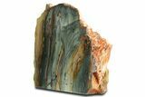 Free-Standing, Gary Green Jasper (Larsonite) Bog Wood - Oregon #334795-1